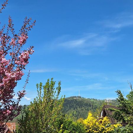 Apartament Na Brzyzku Zakopane Eksteriør bilde