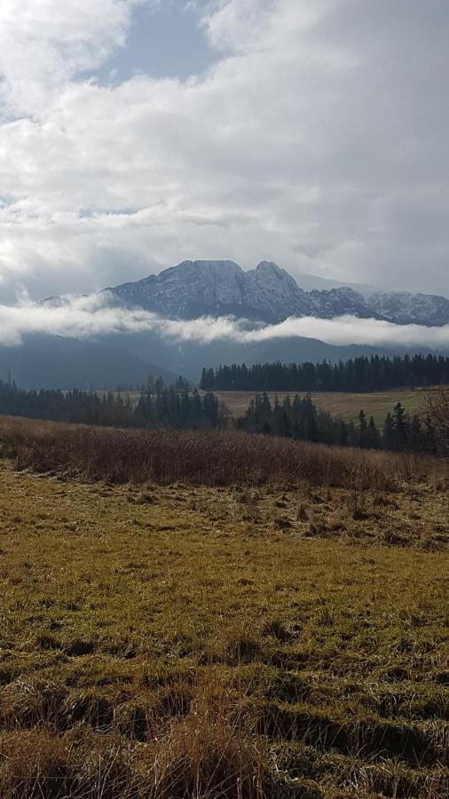 Apartament Na Brzyzku Zakopane Eksteriør bilde