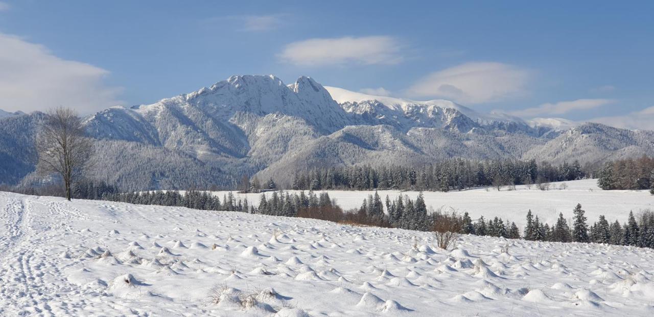 Apartament Na Brzyzku Zakopane Eksteriør bilde