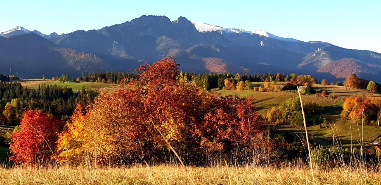 Apartament Na Brzyzku Zakopane Eksteriør bilde